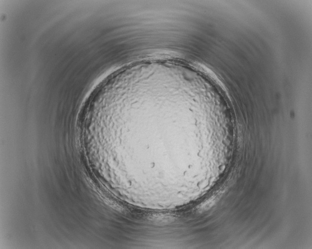 X0000078280835200611251416