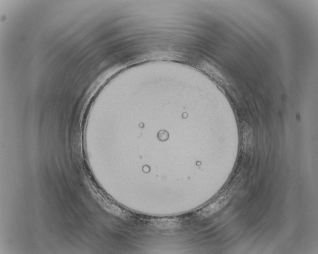 X0000078280836200611251416