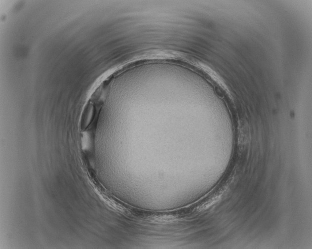 X0000078280837200611251416