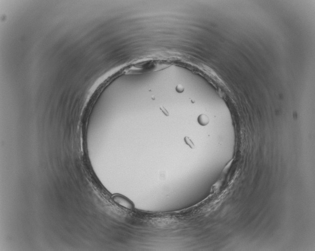 X0000078280838200611251416