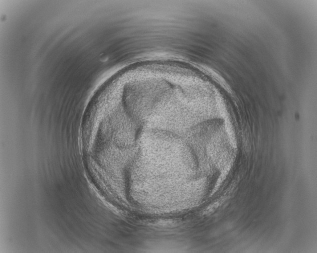 X0000078280839200611251416