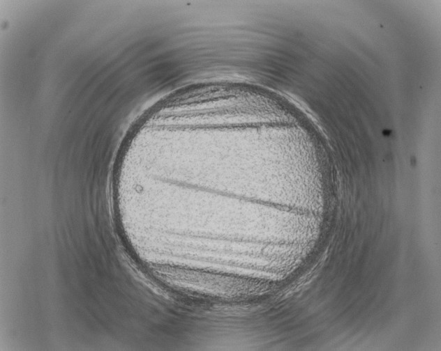 X0000078280840200611251416