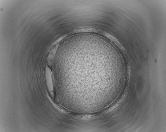 X0000078280841200611251416