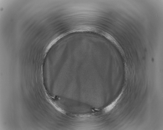 X0000078280842200611251416