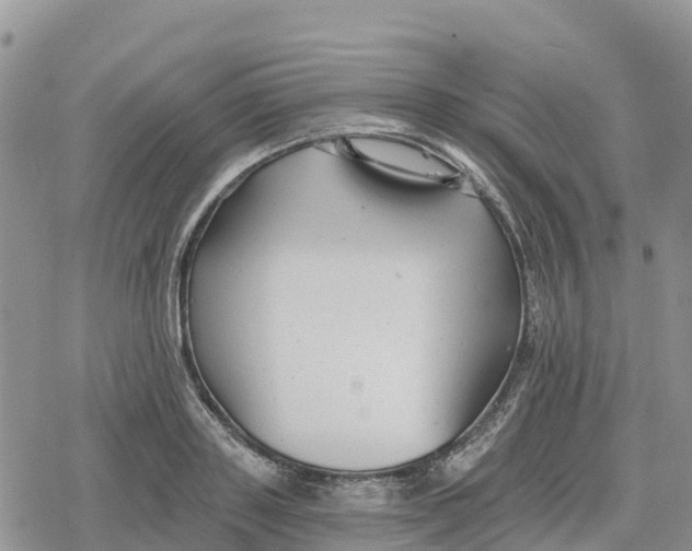 X0000078280843200611251416