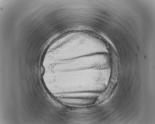 X0000078280845200611251416