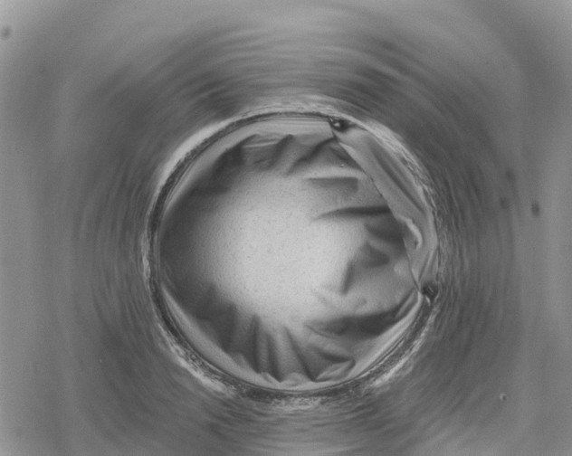 X0000078280846200611251416