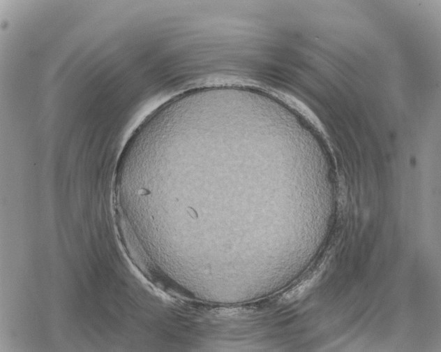 X0000078280847200611251416