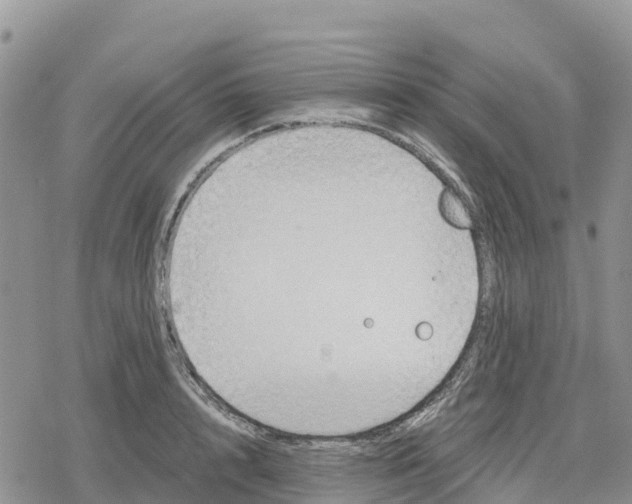 X0000078280848200611251416