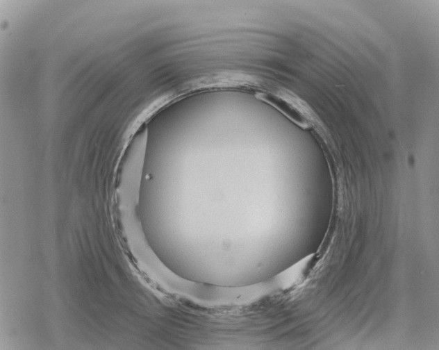 X0000078280850200611251416