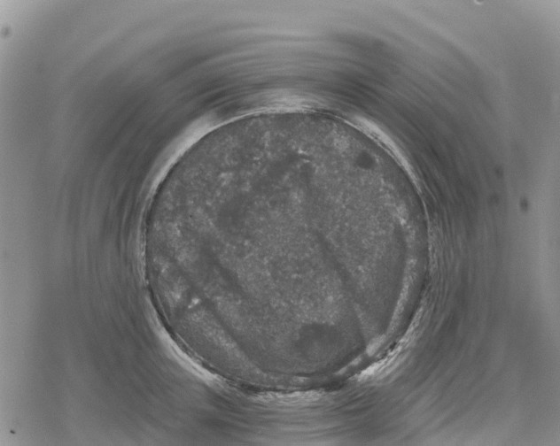 X0000078280851200611251416