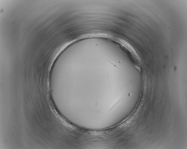 X0000078280852200611251416