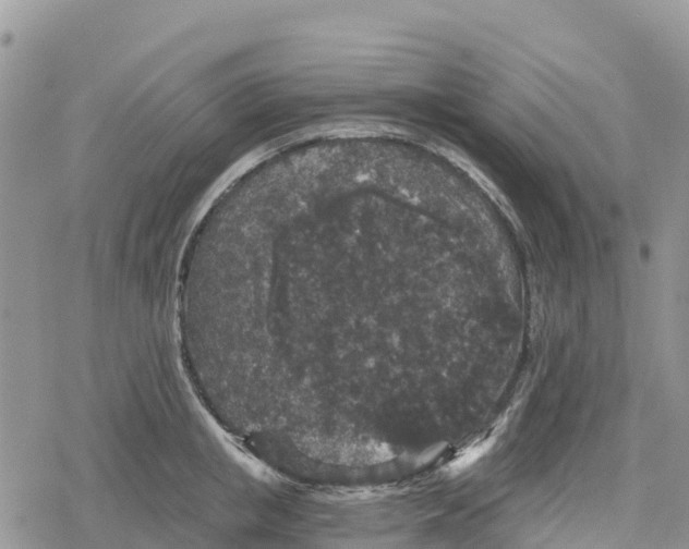 X0000078280853200611251416