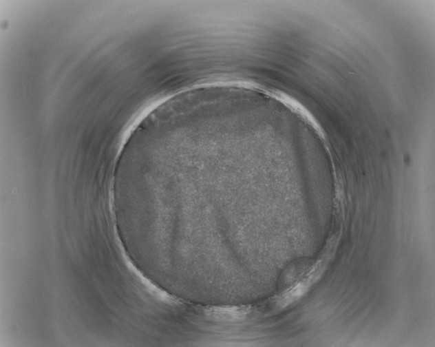 X0000078280855200611251416