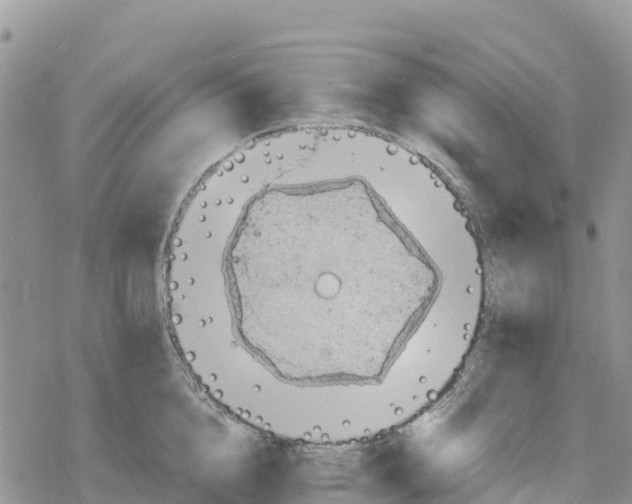 X0000078280856200611251416