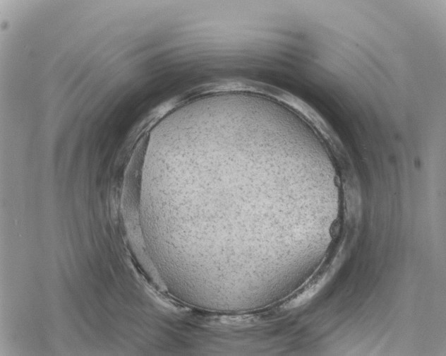 X0000078280857200611251416