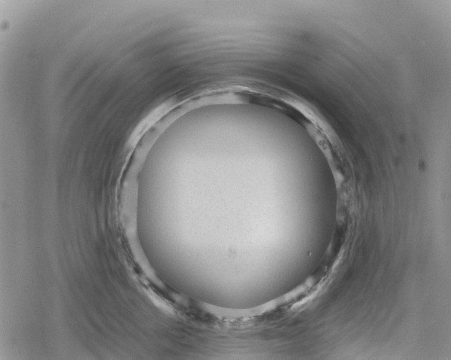 X0000078280858200611251416