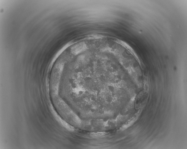 X0000078280859200611251416