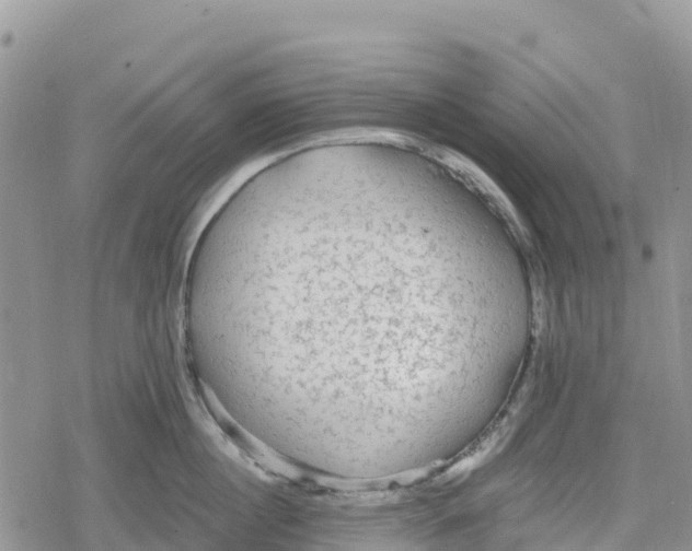 X0000078280860200611251416