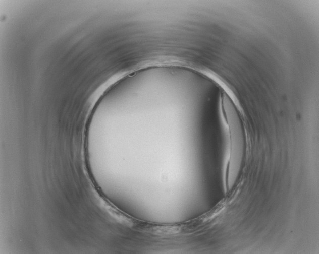 X0000078280861200611251416