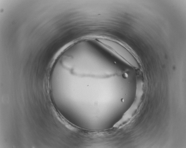 X0000078280862200611251416