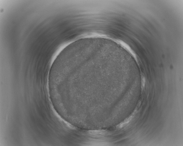 X0000078280863200611251416