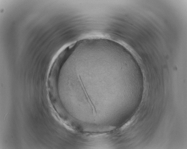 X0000078280864200611251416