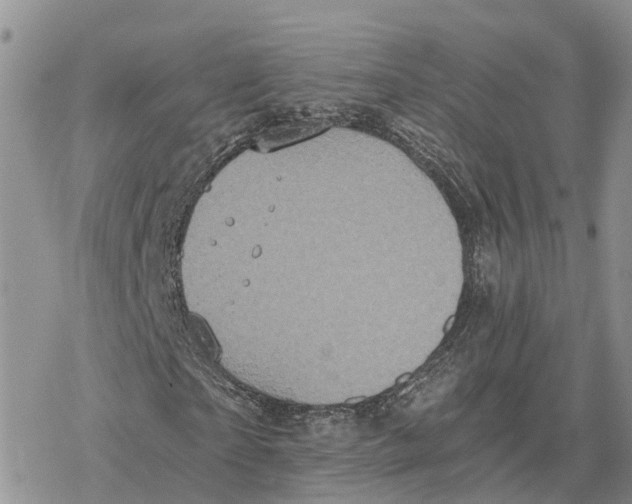 X0000078280865200611251416