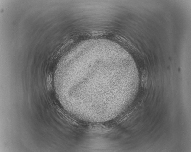 X0000078280866200611251416