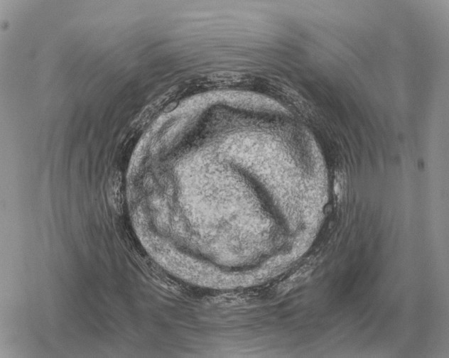 X0000078280867200611251416