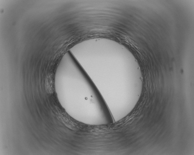 X0000078280868200611251416