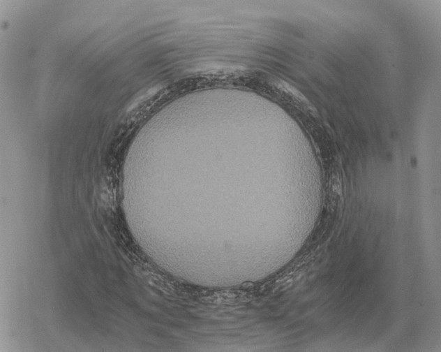 X0000078280869200611251416