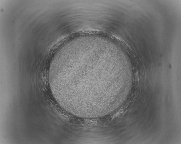 X0000078280870200611251416