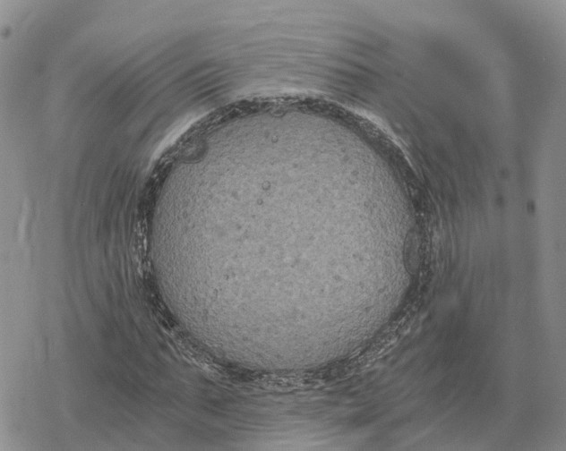 X0000078280871200611251416