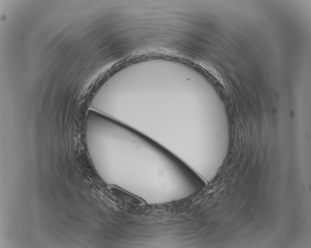 X0000078280872200611251416