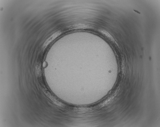 X0000078280873200611251416