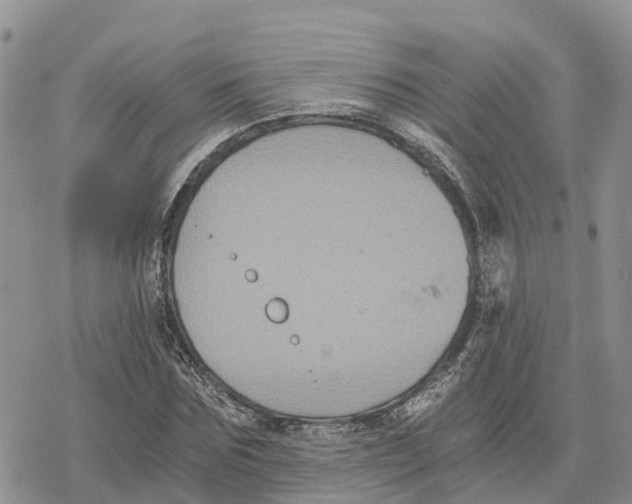 X0000078280875200611251415