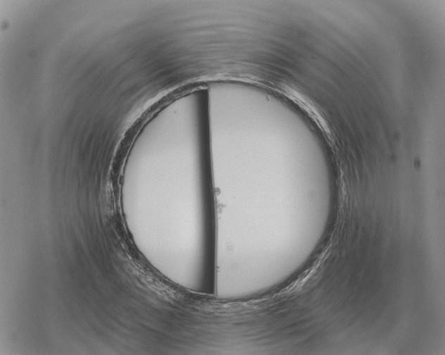 X0000078280876200611251415