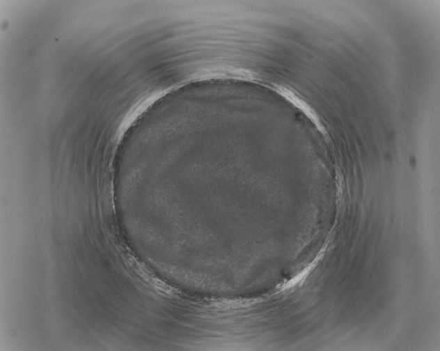 X0000078280877200611251415