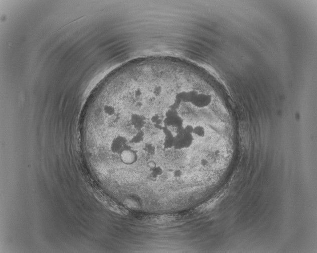 X0000078280879200611251415