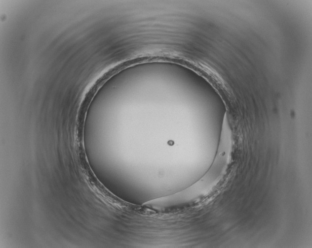 X0000078280880200611251415