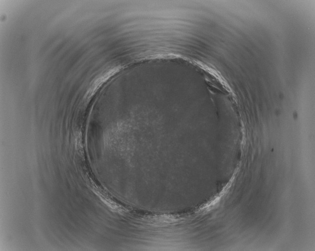 X0000078280881200611251415