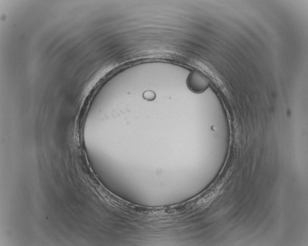 X0000078280883200611251415