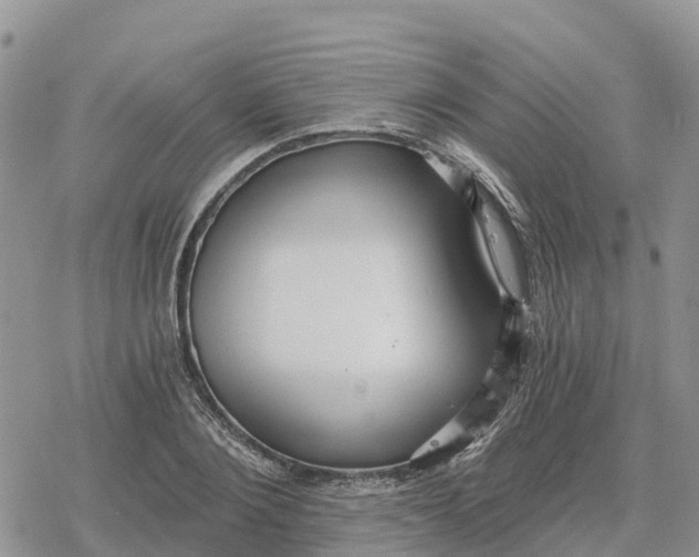 X0000078280884200611251415