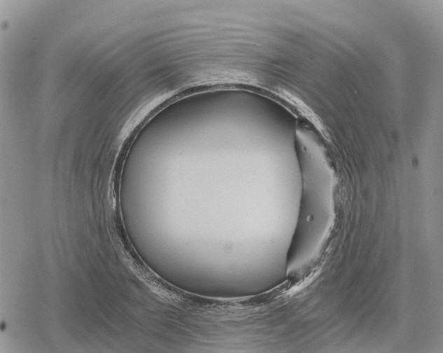 X0000078280885200611251415