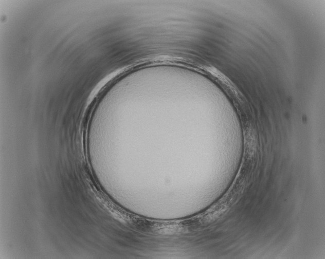 X0000078280886200611251415