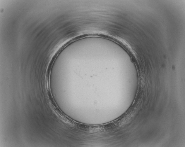 X0000078280887200611251415