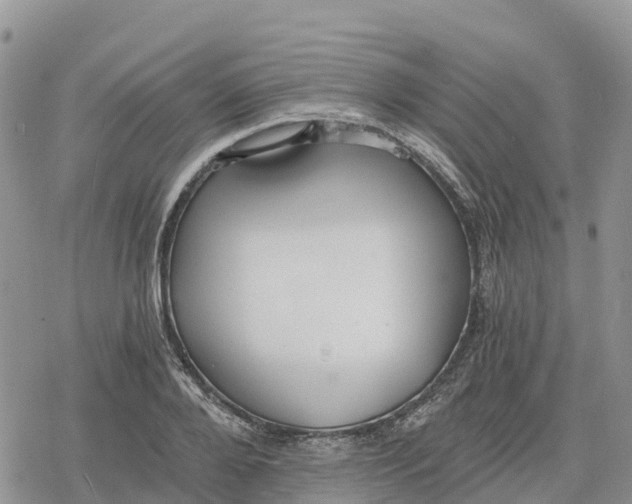 X0000078280888200611251415