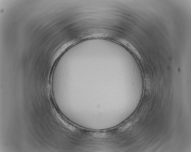 X0000078280890200611251415