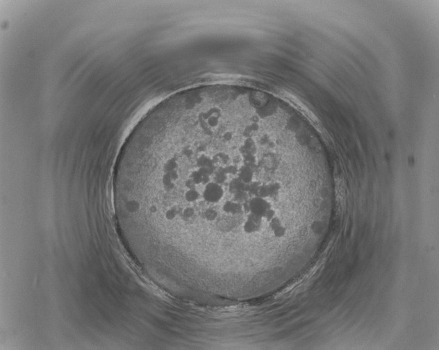 X0000078280891200611251415